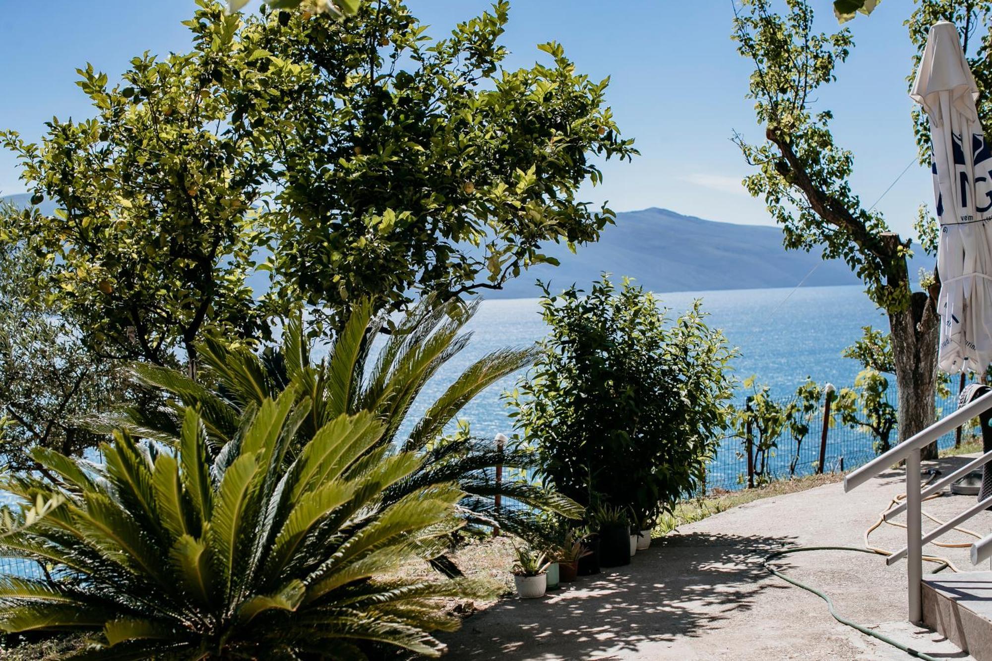 Villa Del Mar Kanine Dış mekan fotoğraf