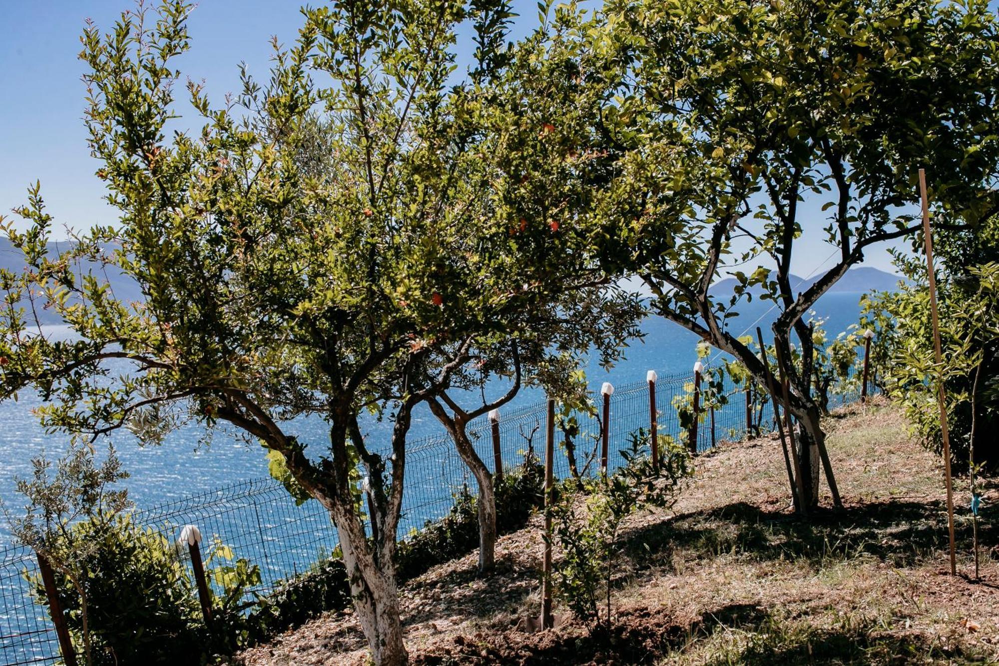 Villa Del Mar Kanine Dış mekan fotoğraf